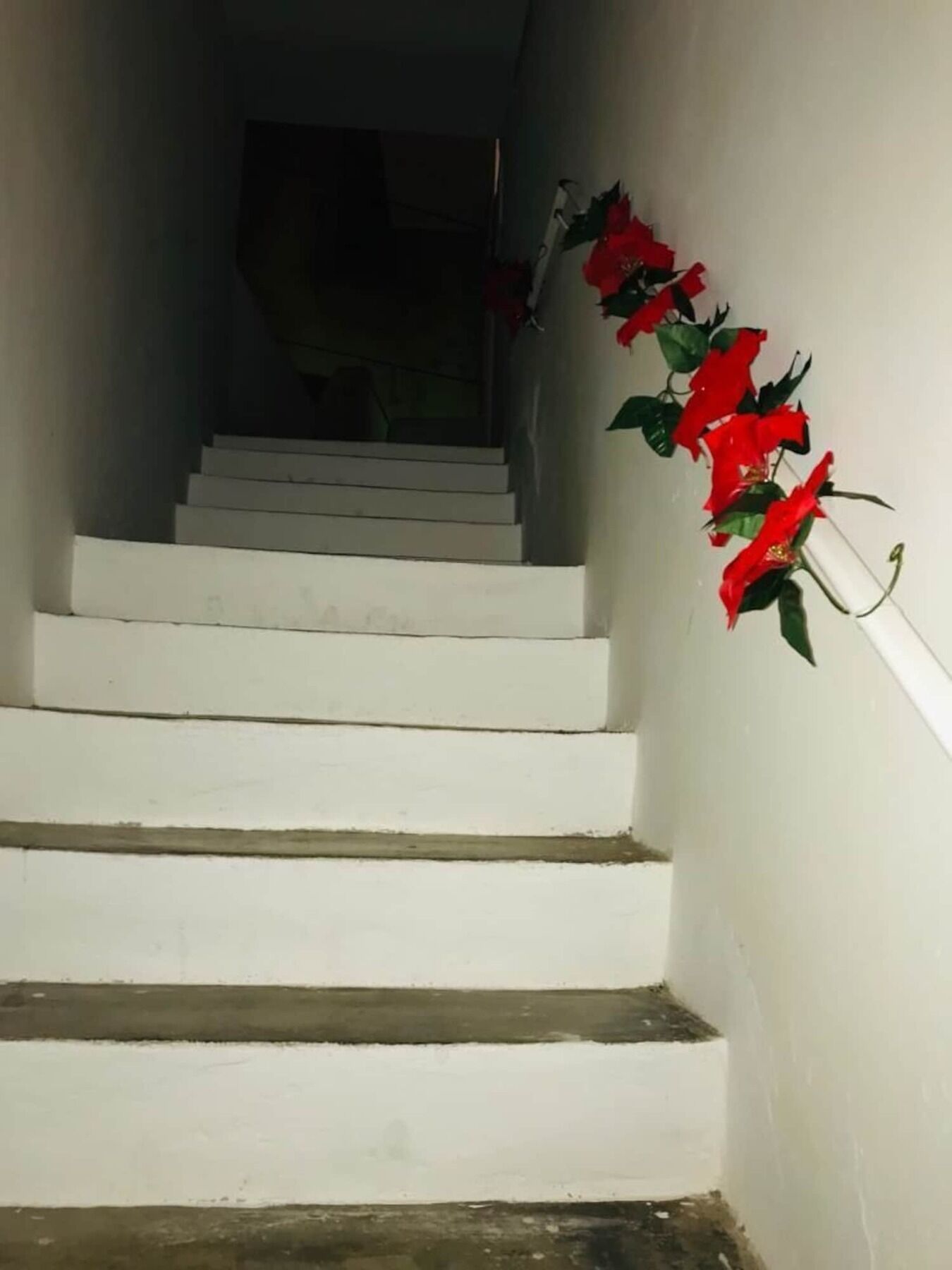 Bed and Breakfast Le Stanze Di Mavi Гравина-ин-Пулья Экстерьер фото